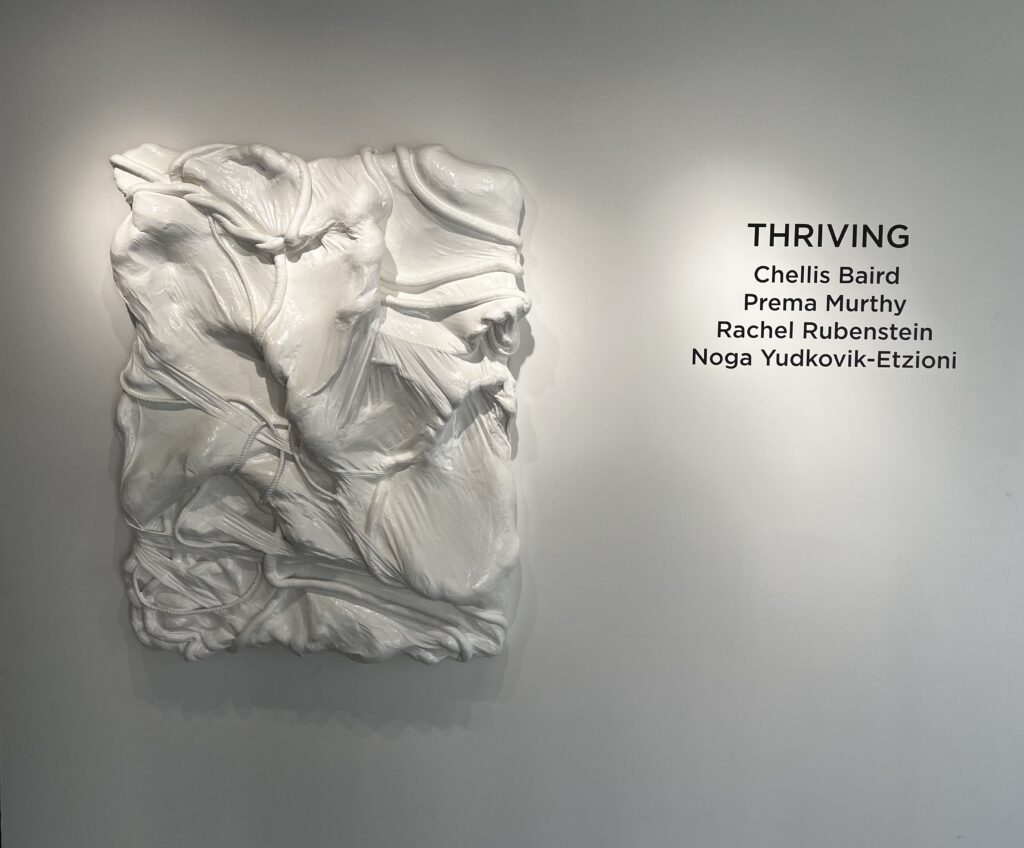 Thriving Installation image featuring work by Chellis Baird, courtesy FORMah gallery